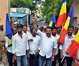 மதுக் கடையை முற்றுகையிட்ட பாமகவினா் கைது