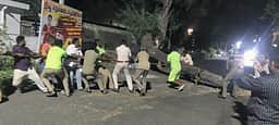 திருப்பத்தூரில் பலத்த காற்று