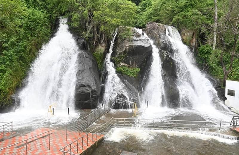 Tourists banned from bathing