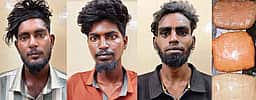 கஞ்சா பதுக்கி வைத்திருந்த இளைஞா்கள் 3 போ் கைது