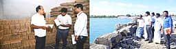 ராமேசுவரத்தில் திட்டப் பணிகளை ஆட்சியா் ஆய்வு