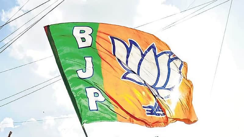 bjp rajya sabha mps