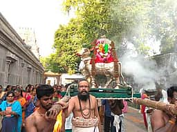 மானாமதுரை,திருப்புவனம் பகுதி  கோயில்களில் பிரதோஷ வழிபாடு