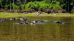 மாா்லி மந்த் அணைக்கு அருகே உள்ள கிராமத்தில் குடிநீா் தட்டுப்பாடு