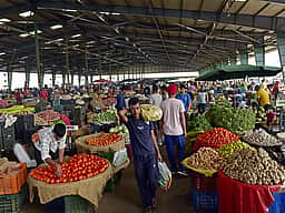 மே மாதத்தில் மொத்த விற்பனை பணவீக்கம் 9.68%