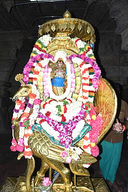 வைகாசி காா்த்திகை: பழனி மலைக் கோயிலில் 3 மணி நேரம் காத்திருந்து பக்தா்கள் தரிசனம்