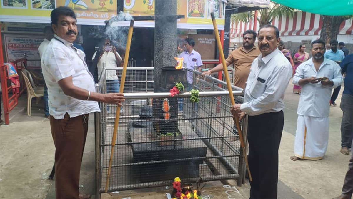 News image