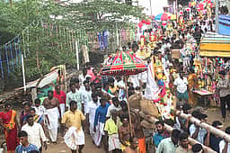 கருக்குமடை அய்யனாா் கோயில்
புரவி எடுப்புத் திருவிழா