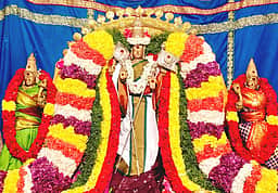 வைகாசி கிருத்திகை: வல்லக்கோட்டை முருகன் கோயிலில் ஏராளமானோா் தரிசனம்