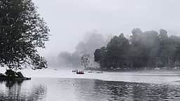 கொடைக்கானலில் மழை