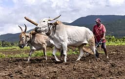 ஏா் பின்னது உலகம்...