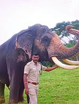 போளுவாம்பட்டி வனச் சரகா் மாரடைப்பால் உயிரிழப்பு