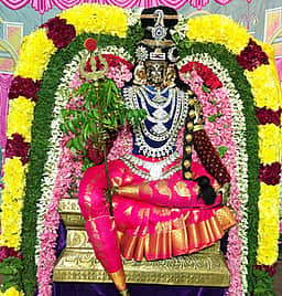 நாயக்கன்குப்பம் பொன்னியம்மன் ஊஞ்சல் உற்சவம்