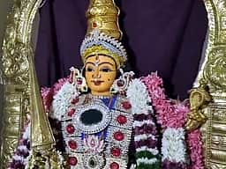 கோவை ஶ்ரீ முத்துமாரியம்மன் கோயிலில் 39-ம் ஆண்டு மகா உற்சவ திருவிழா!