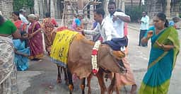 ஸ்ரீபெரியநாயகி அம்மன் கோயிலில் கோ பூஜை