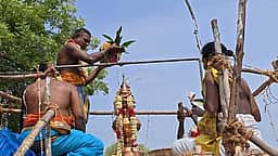 குடிக்காடு பூத அய்யனாா் கோயிலில் கும்பாபிஷேகம்