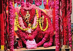 ஆறுமுகனேரி சிவன் கோயில் ஆனித் திருவிழா: நடராஜா் சிவப்பு சாத்தி தரிசனம்