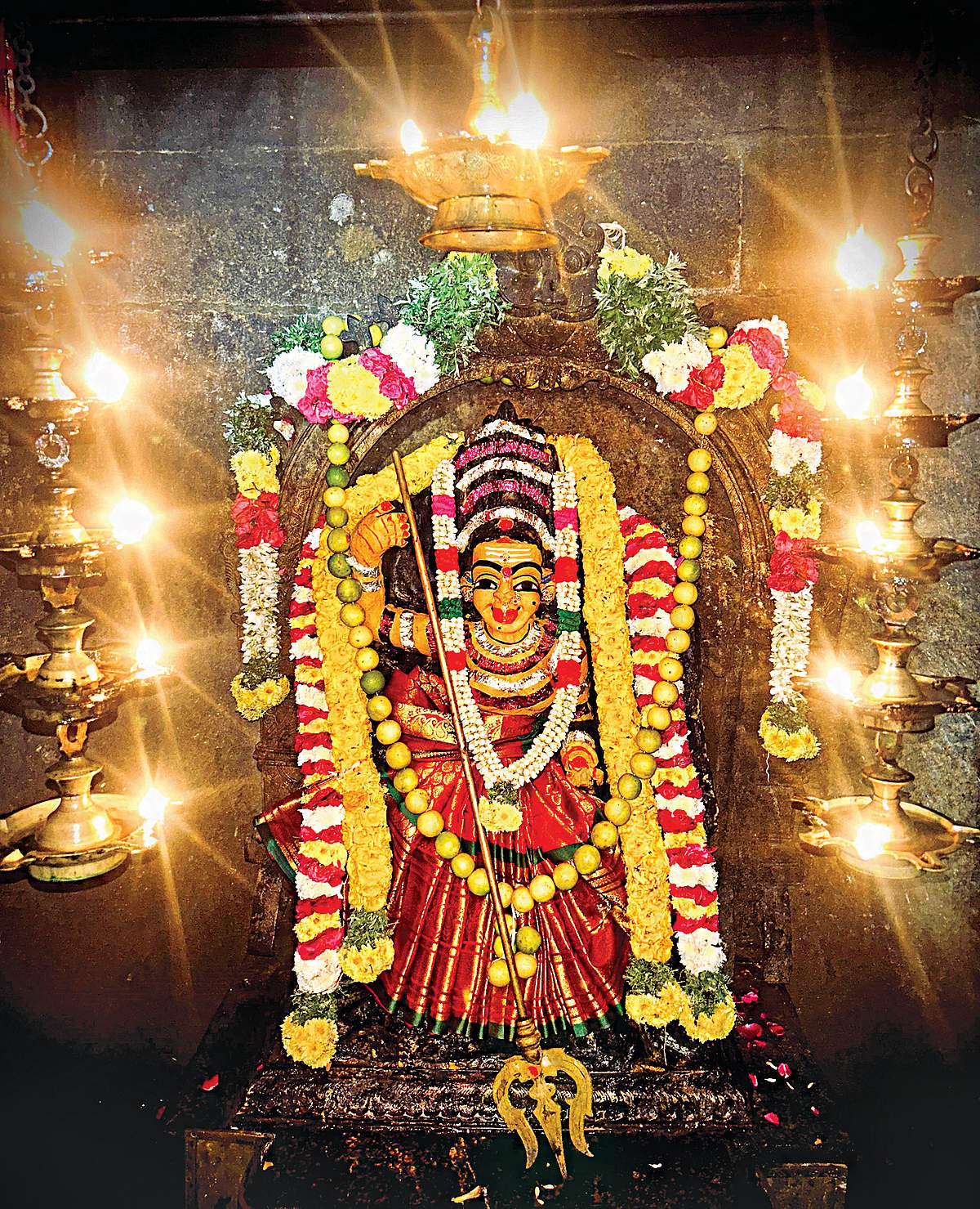 News image