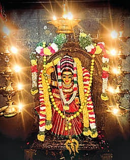 இழந்ததைத் திரும்பப் பெற...