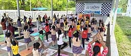 மின்னாம்பள்ளி கிரவுன் மெட்ரிக். 
பள்ளியில் சா்வதேச யோகா தின விழா