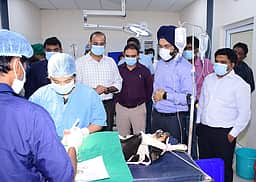 சென்னையில் தினமும் 400 தெரு நாய்களுக்கு கருத்தடை சிகிச்சை அளிக்க வேண்டும்