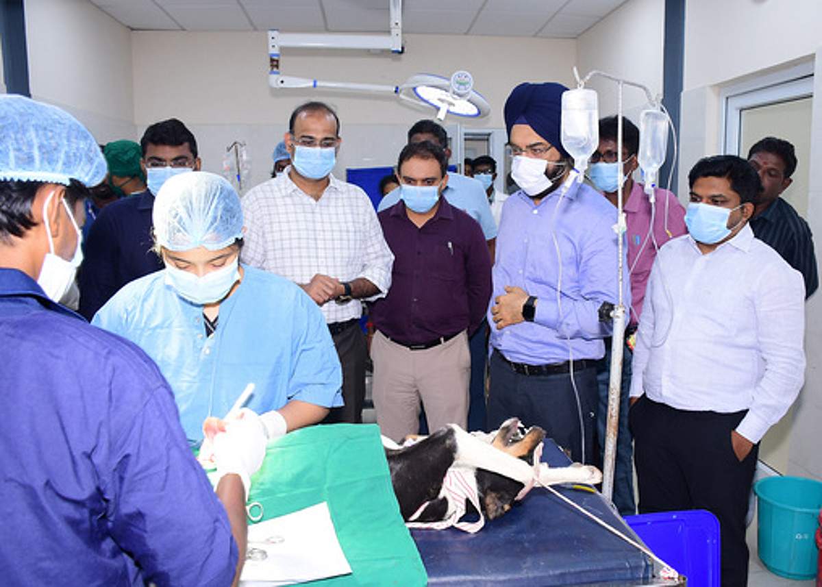 News image