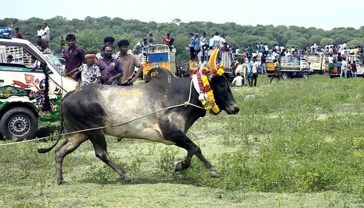News image
