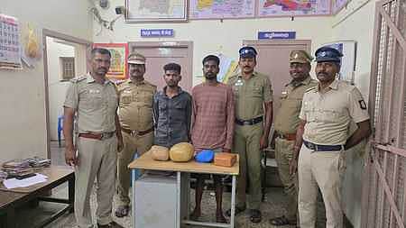 News image