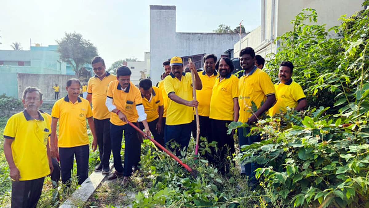 News image