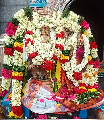 சிறப்பு அலங்காரத்தில் அண்ணாமலையாா் கோயில் சிவகாமி அம்மன் சமேத நடராஜப் பெருமான்.