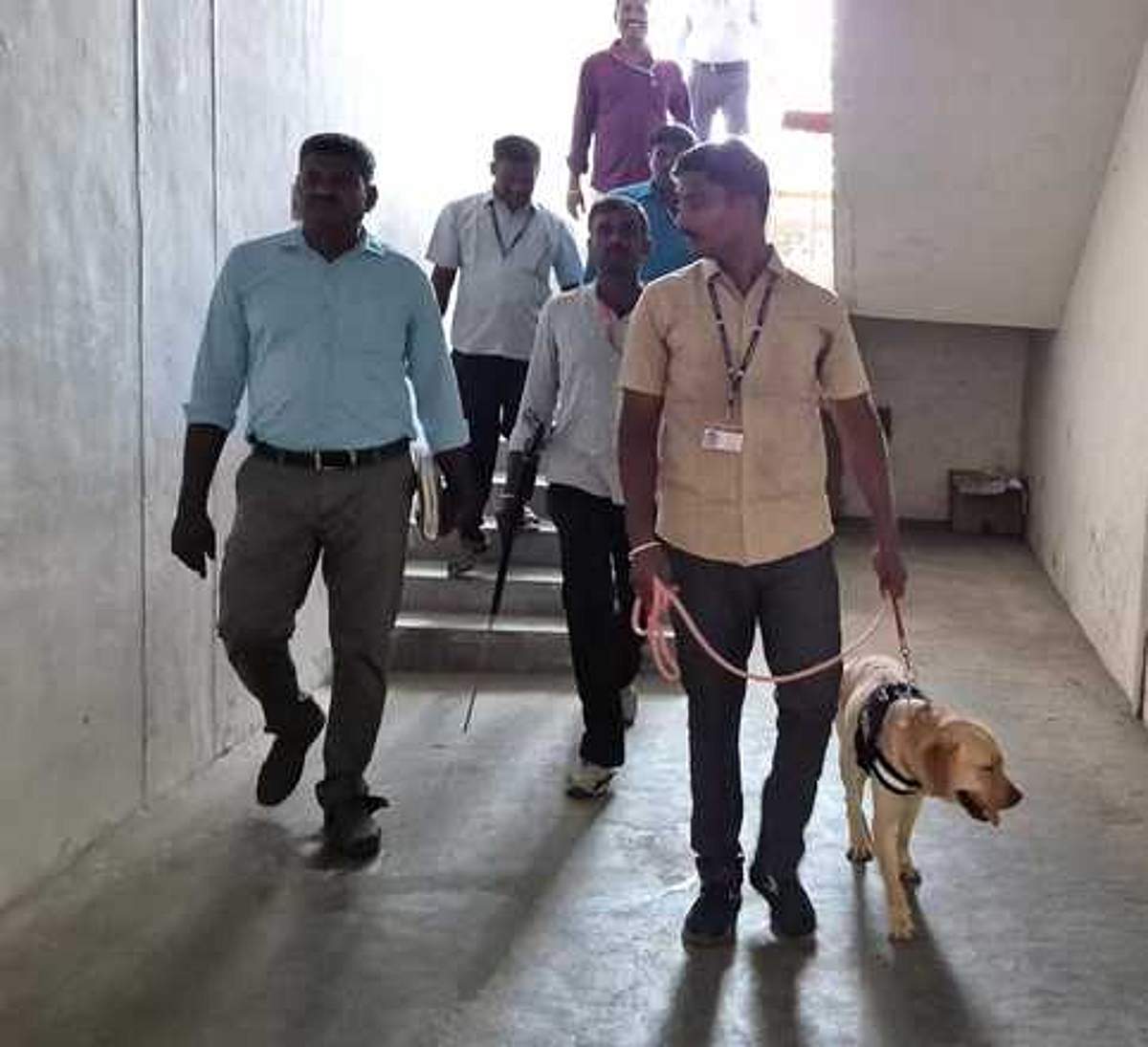 News image