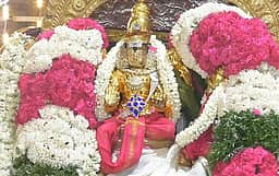 நெல்லையப்பர் கற்பக விருட்ச வாகனத்தில் வீதியுலா!