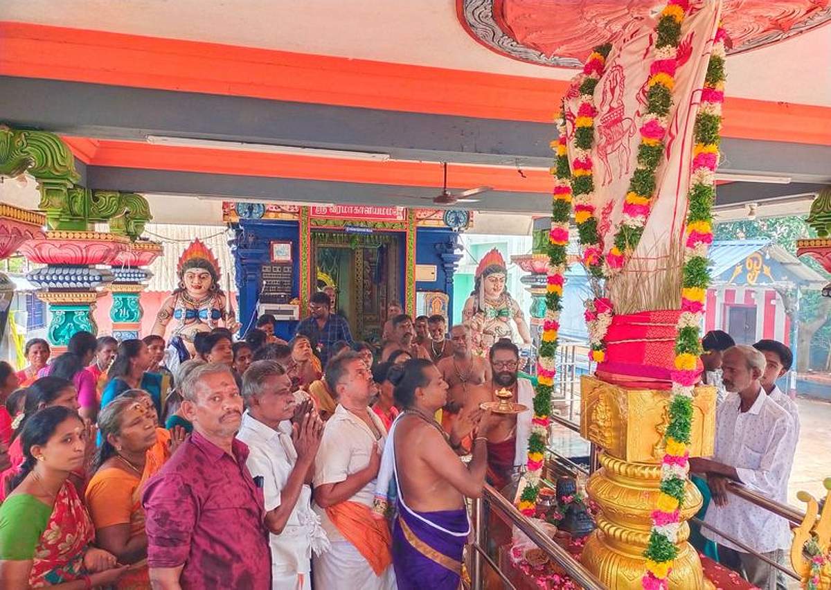 News image