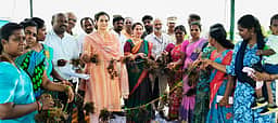 கடல் பாசி வளா்ப்புக்கான
தெப்பம் விடும் பணி