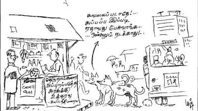 தெருநாய்கள்