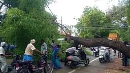 சத்தியமங்கலம் அருகே பலத்த காற்றுக்கு மரம் விழுந்து போக்குவரத்து பாதிப்பு