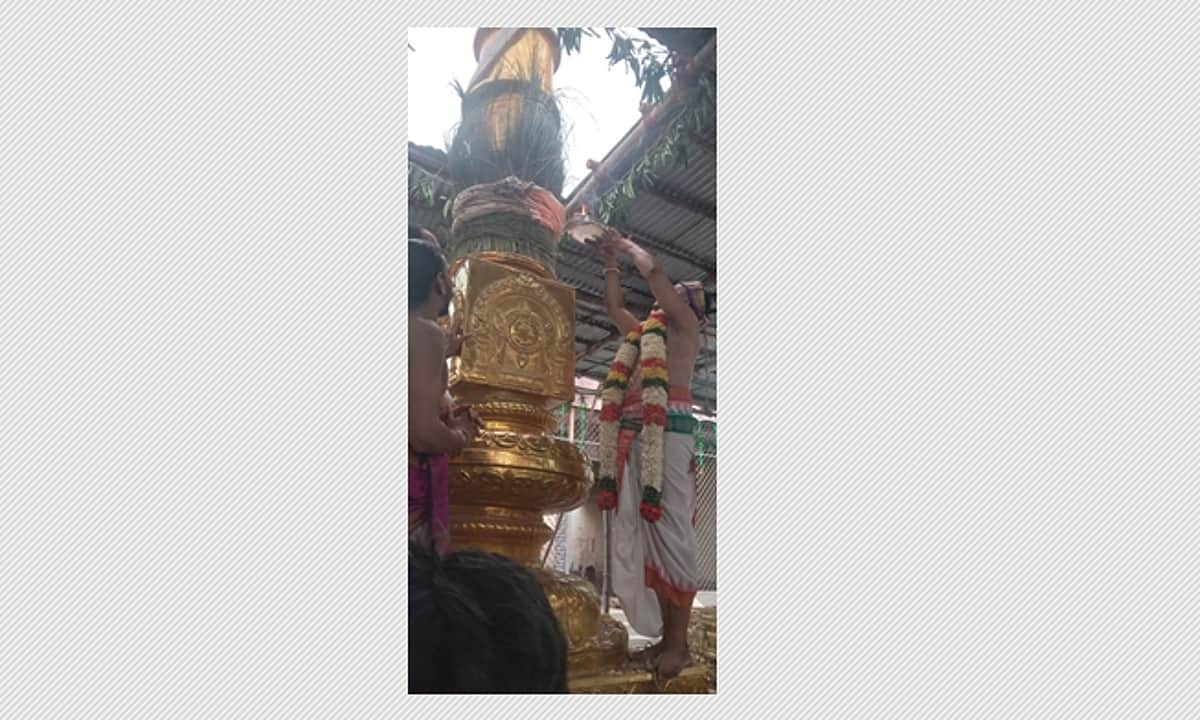News image