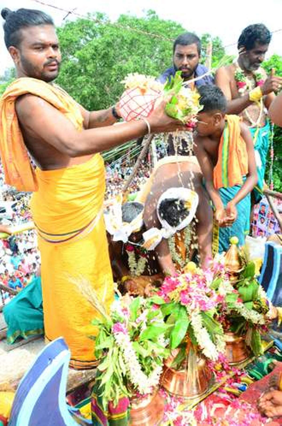 News image