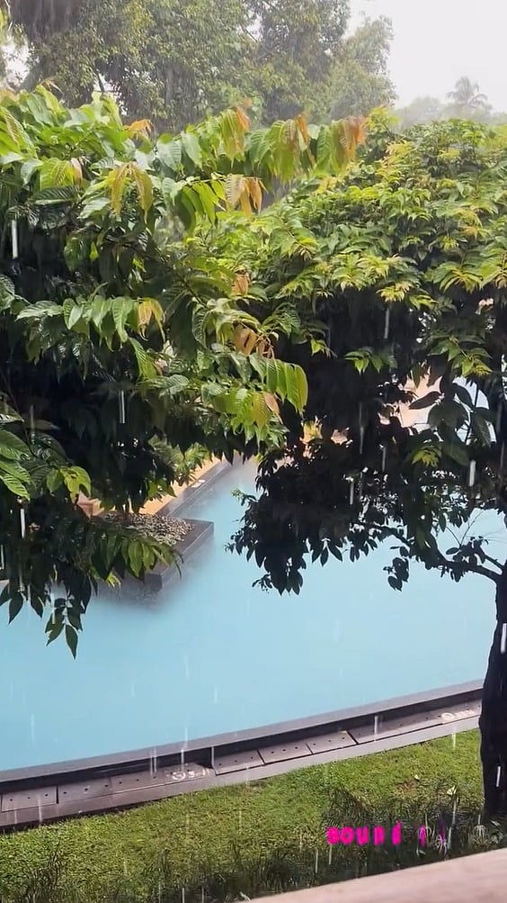 த்ரிஷா ஸ்டோரியின் விடியோவிலிருந்து...