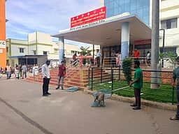 தெருநாய்களுக்கு மீண்டும் தொடங்கிய கருத்தடை அறுவைச் சிகிச்சை: மீண்டும் விடுவிக்கப்படும் நாய்களால் தொல்லை குறையுமா?