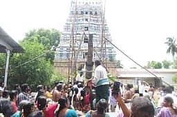 சிவகுருநாத சுவாமி கோயிலில் புதிய கொடிமரம் பிரதிஷ்டை