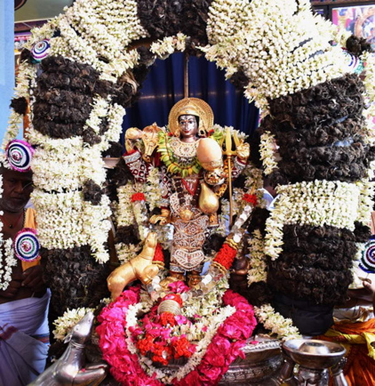News image