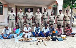 சந்தன மரங்கள் வெட்டிக் கடத்தல்: 8 போ் கைது