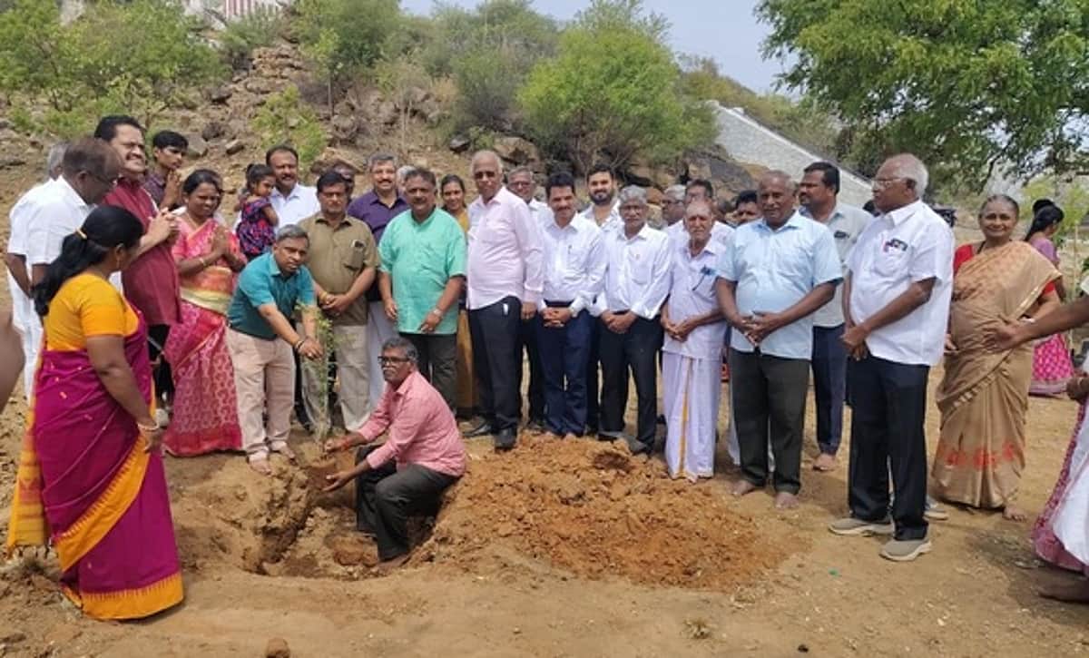 News image