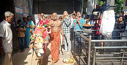 பெரிய ஆஞ்சனேயா் கோயிலில் சிறப்பு கோ பூஜை