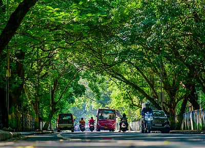சென்னையை பசுமையாக்கும் புதிய திட்டம் தீவிரம்! பொதுமக்கள் பங்களிப்பும் அவசியம்!!