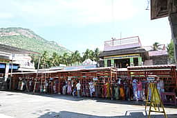 அருணாசலேஸ்வரா் கோயிலில் திரளான பக்தா்கள் தரிசனம்