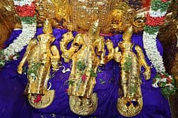 திருமலை ஜேஷ்டாபிஷேகம்: 
தங்கக் கவசத்தில் மலையப்ப சுவாமி வலம்