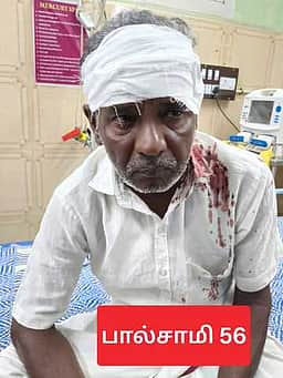திருவாடானை அருகே 3 பேருக்கு அரிவாள் வெட்டு; 5 போ் கும்பல் தலைமறைவு