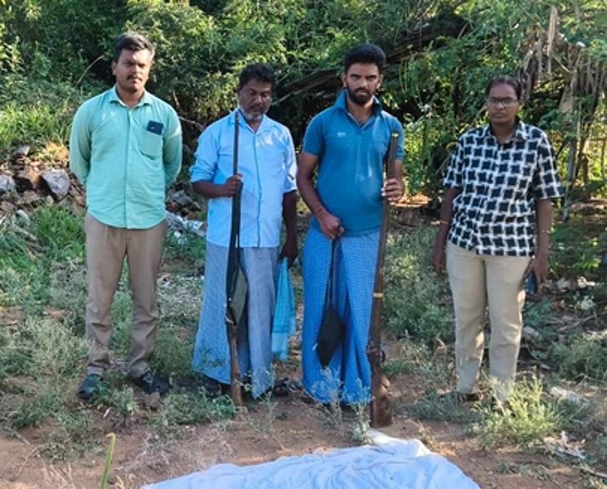 News image